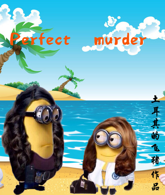 Perfect murder